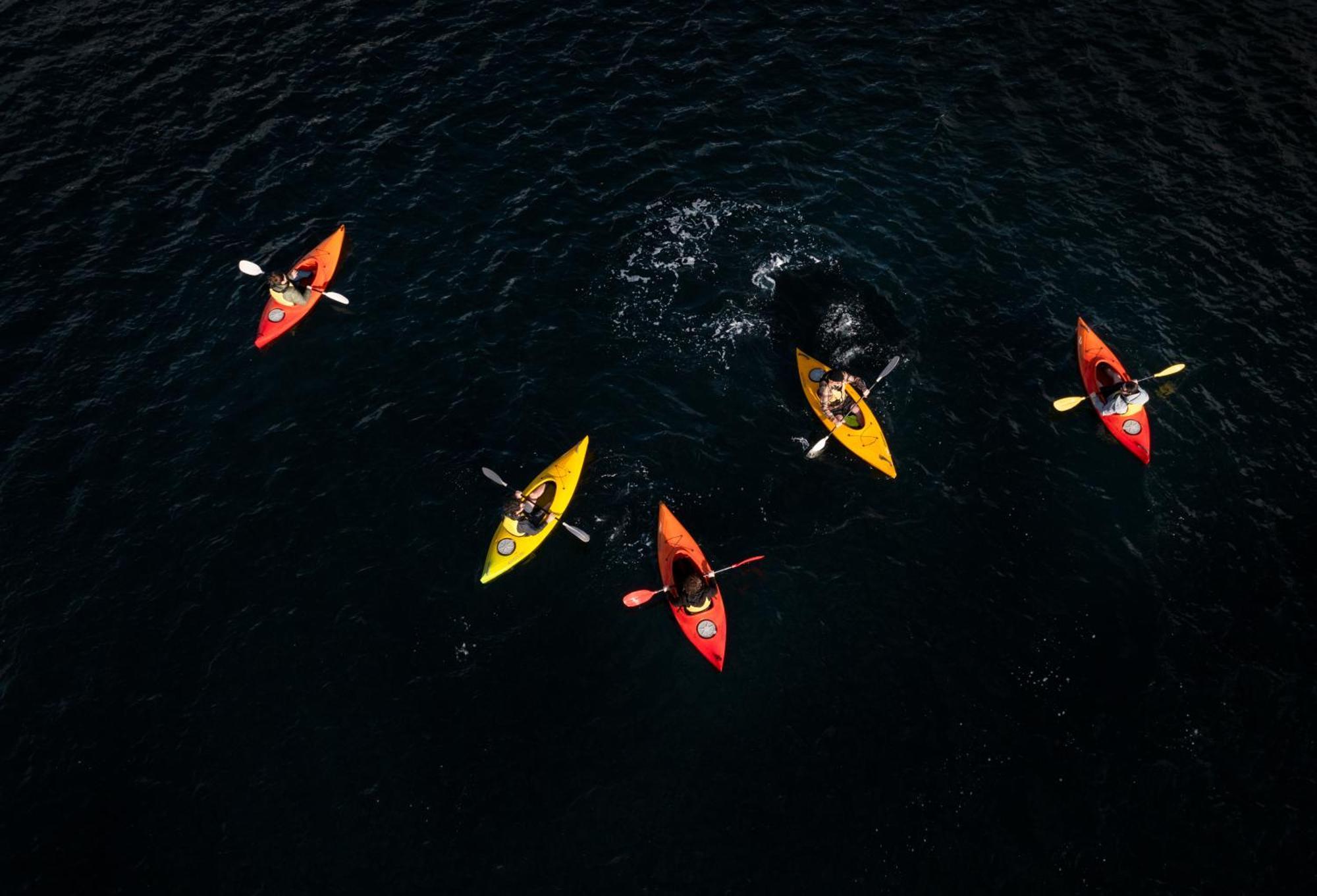  Overnight Cruise - Fiordland Discovery