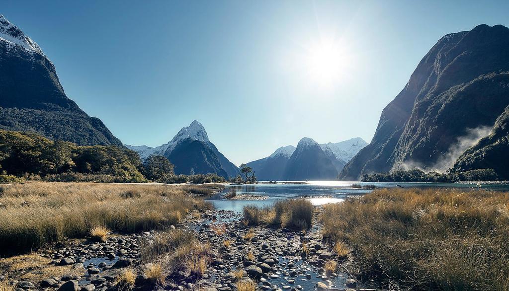  Overnight Cruise - Fiordland Discovery Milford Sound